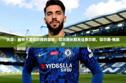 2025乐鱼体育下载天空：梅努不是切尔西的目标；切尔西长期关注费尔明，切尔茜·梅默尔