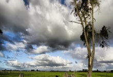 2025乐鱼体育在线官网中国军团美网前两日6战皆败，仅剩王欣瑜和布云朝克特，2021年美网中国选手