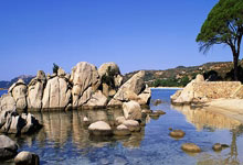 2025乐鱼体育在线橙色军团雄心勃发，力压对手晋级