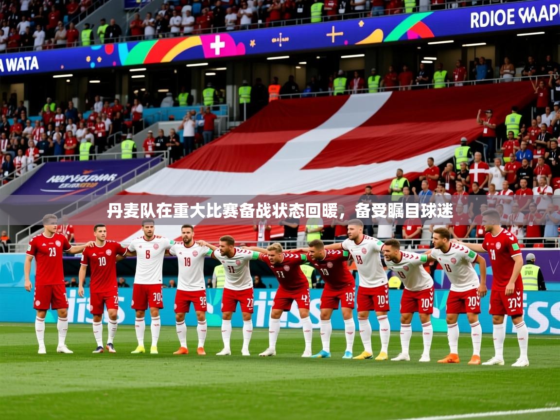 2026乐鱼体育app下载官网(中国)丹麦队在重大比赛备战状态回暖，备受瞩目球迷  第1张