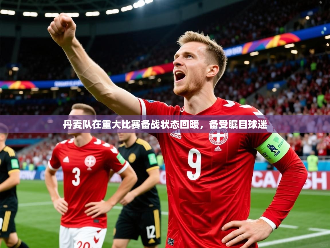 2026乐鱼体育app下载官网(中国)丹麦队在重大比赛备战状态回暖，备受瞩目球迷  第3张